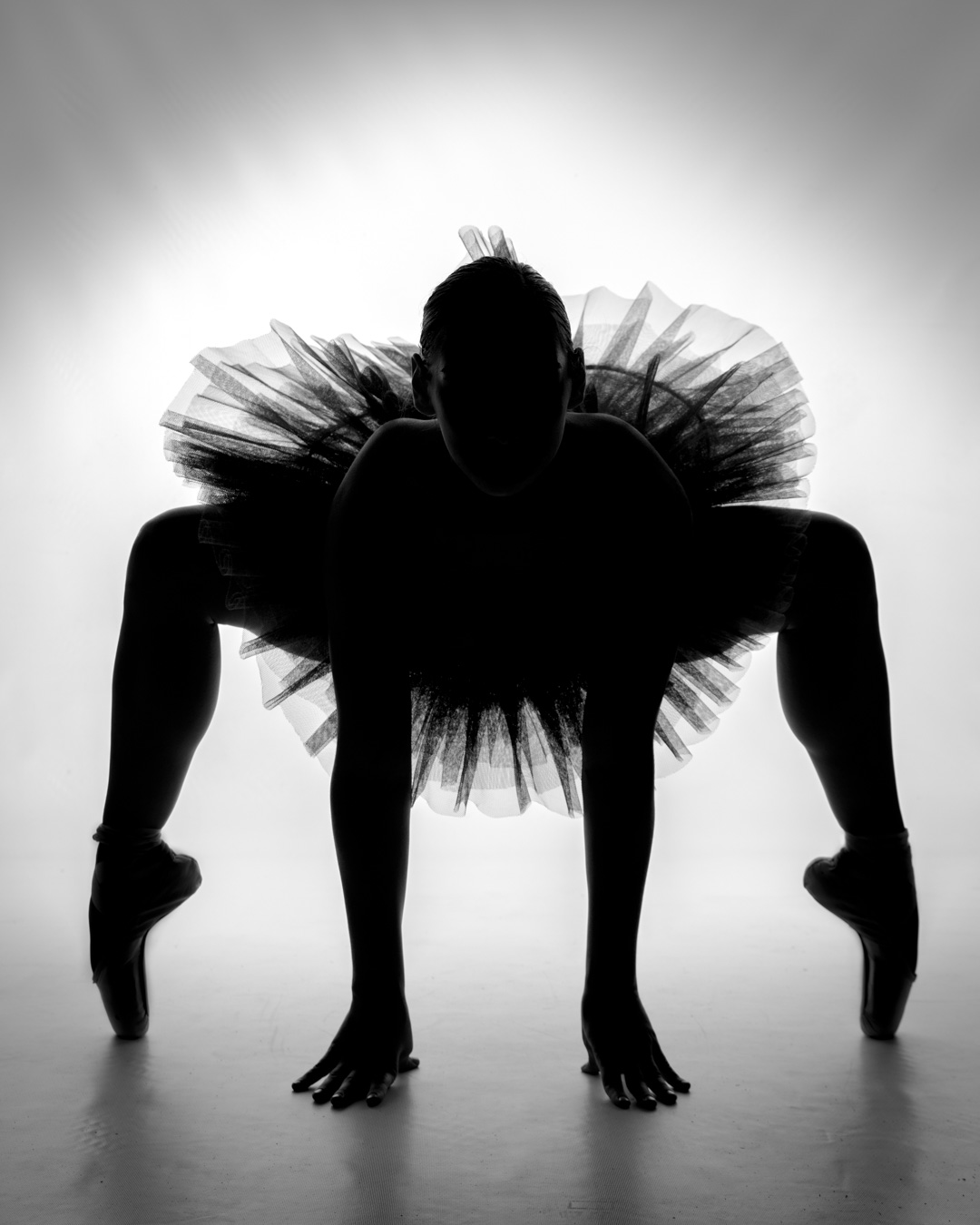 A silhouette of a woman in a tutu.